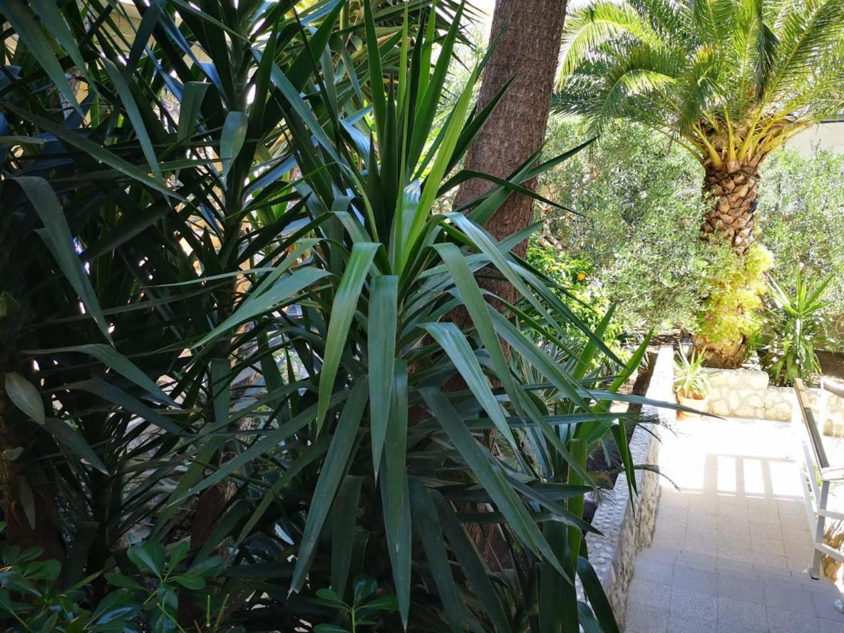 Apartments Antoana Hvar Town Exterior photo